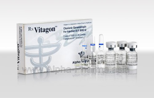Vitagon-3-vials_wm-300x172