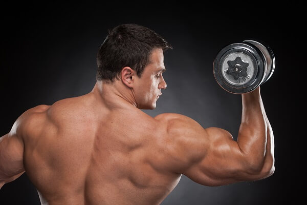 muscle mass gain